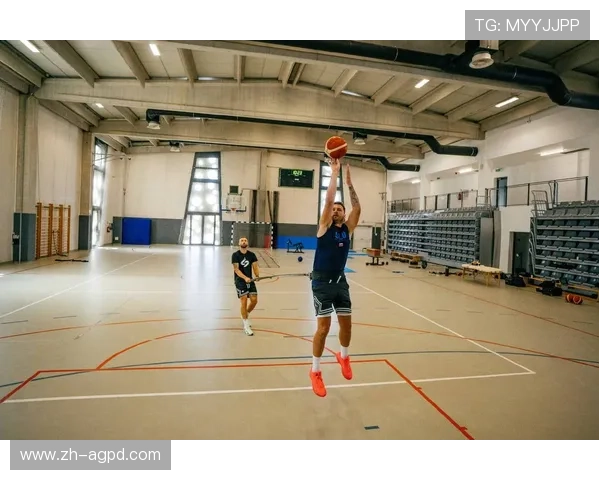 解析NBA球员的训练方法与健康管理